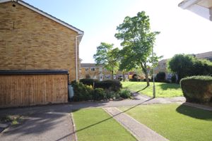 Greem- click for photo gallery